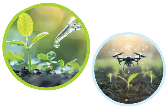 Uttar Pradesh Bioenergy